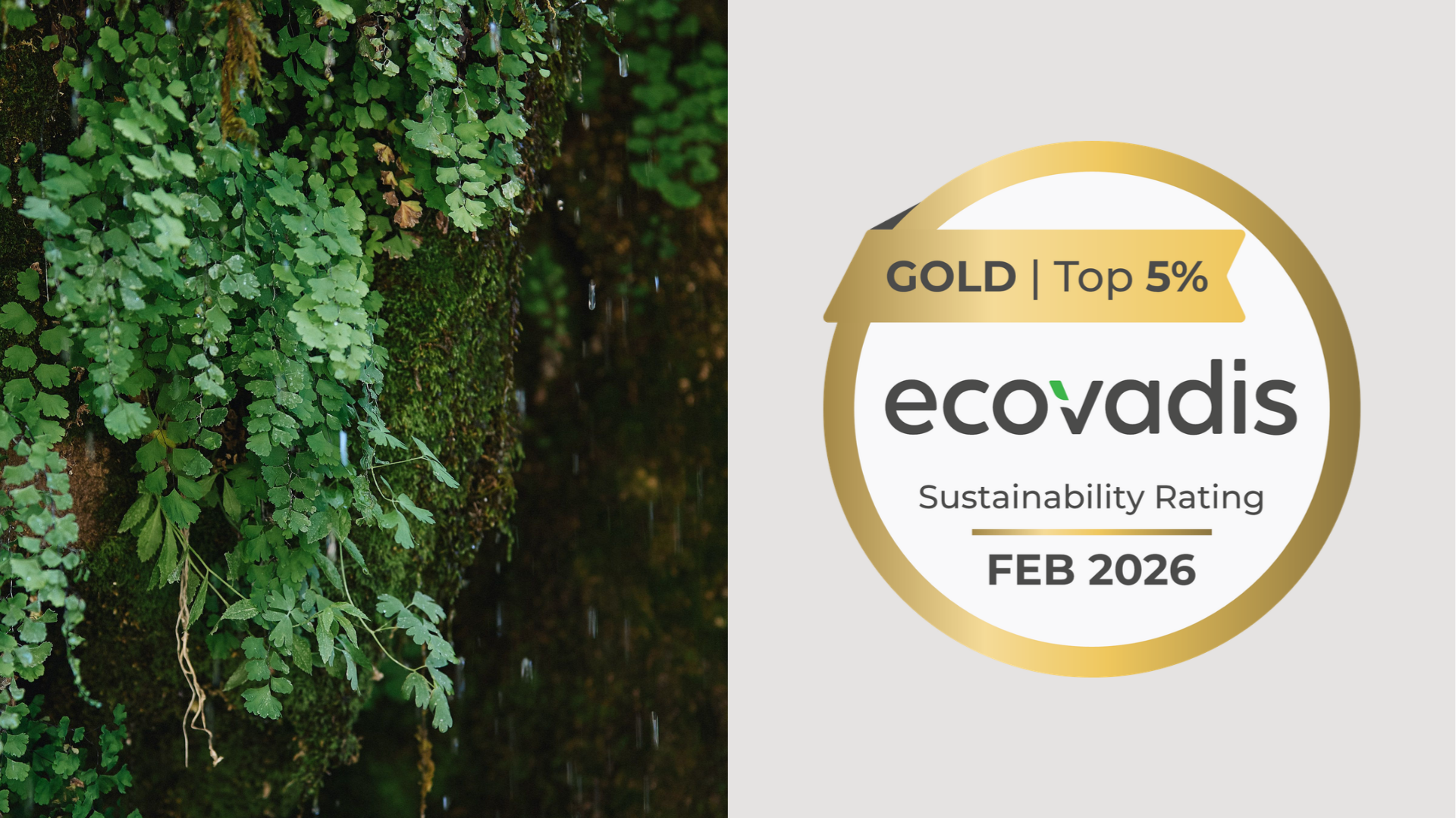 IMAGE 3 Luxury Redefined How Sustainability Is Reshaping the Guest Experience-1.png